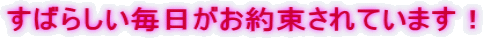 ���΂炵�����������񑩂���Ă��܂��I
